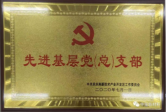 先进基层党（总）支部